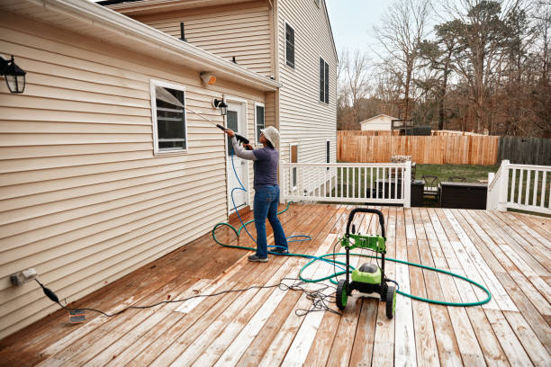 Best Pressure Washing Driveway  in Freeport, TX