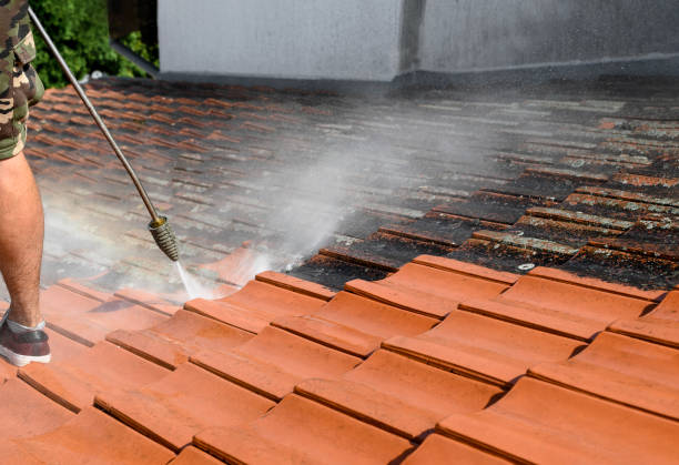 Best Roof Power Washing Services  in Freeport, TX