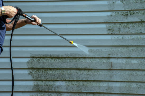 Best Local Pressure Washing Services  in Freeport, TX