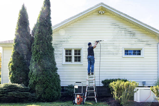 Best Pressure Washing Services for Businesses  in Freeport, TX