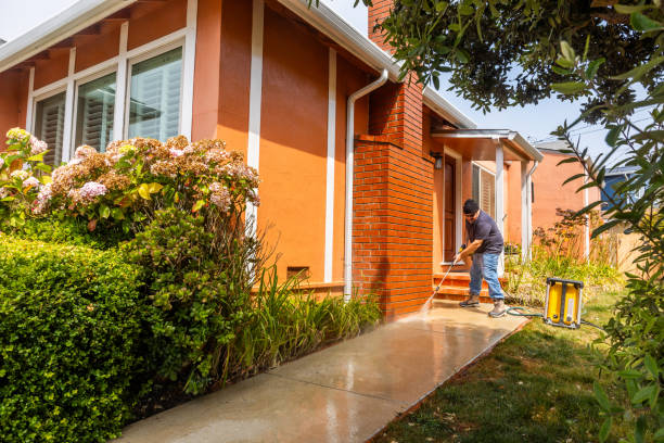 Best Pressure Washing Company Near Me  in Freeport, TX